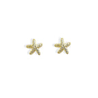 Orecchini stelle marine zirconi