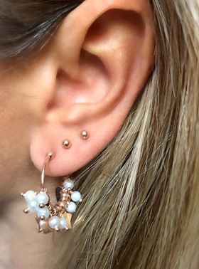 Lobini pallini xs  s  m L